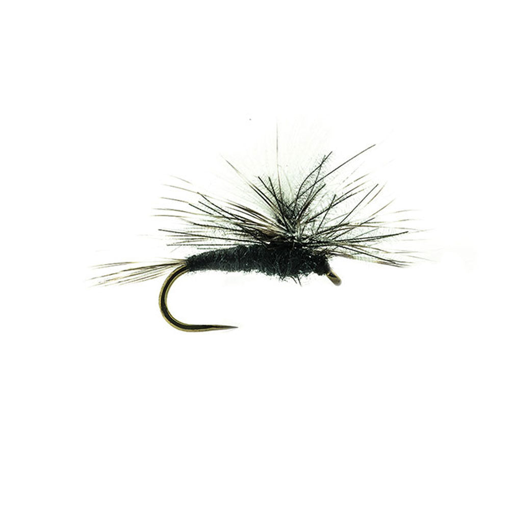 DEVAUX Parachute P 06C Fly