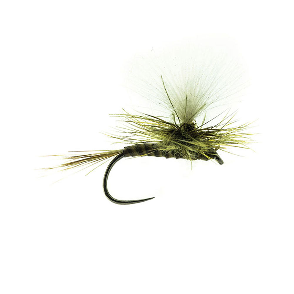 DEVAUX Parachute P 10QC Fly