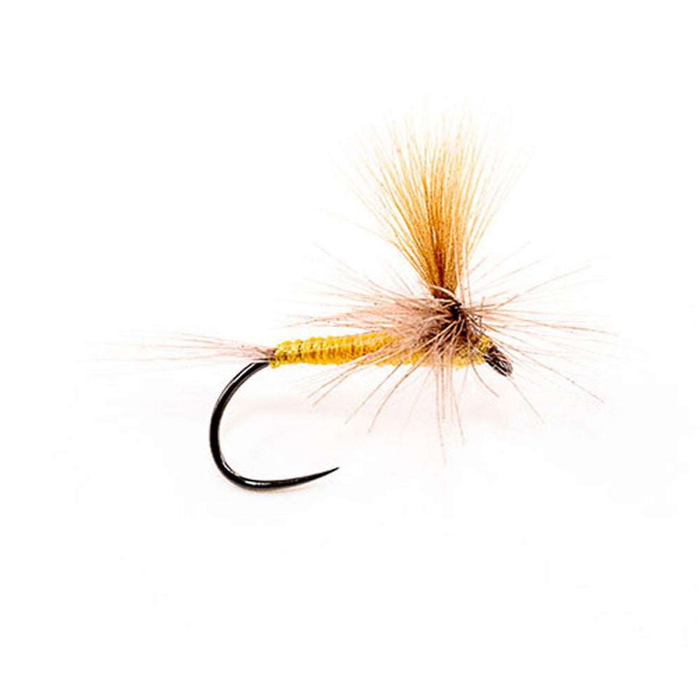 DEVAUX Fly Parachute P 16