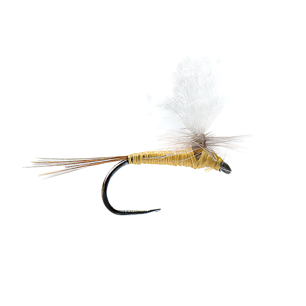 DEVAUX Parachute P 19 Fly
