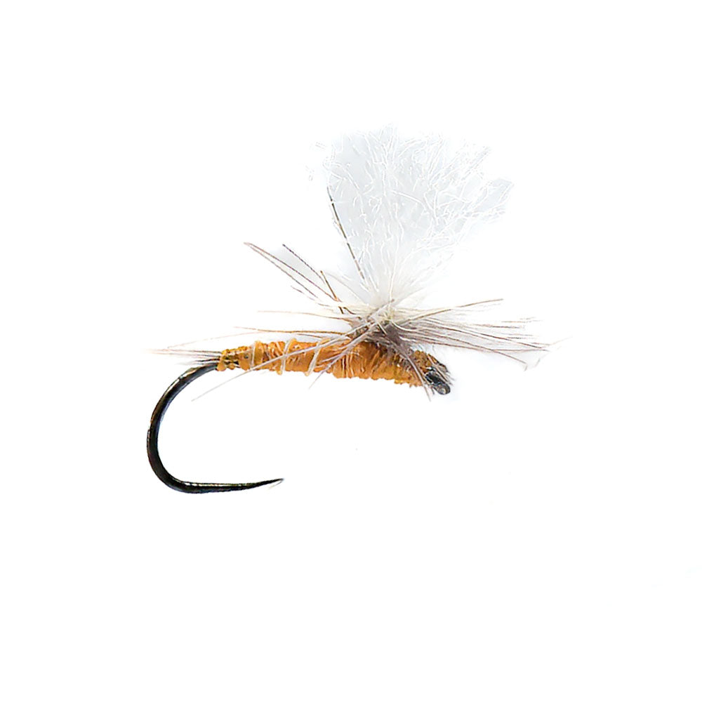 Fly DEVAUX Parachute P 21