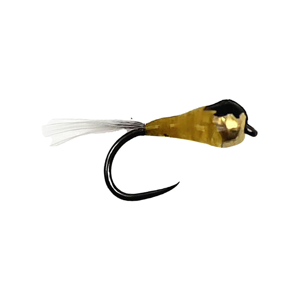 Mouche DEVAUX Nymphe TUNG. PERDI 08