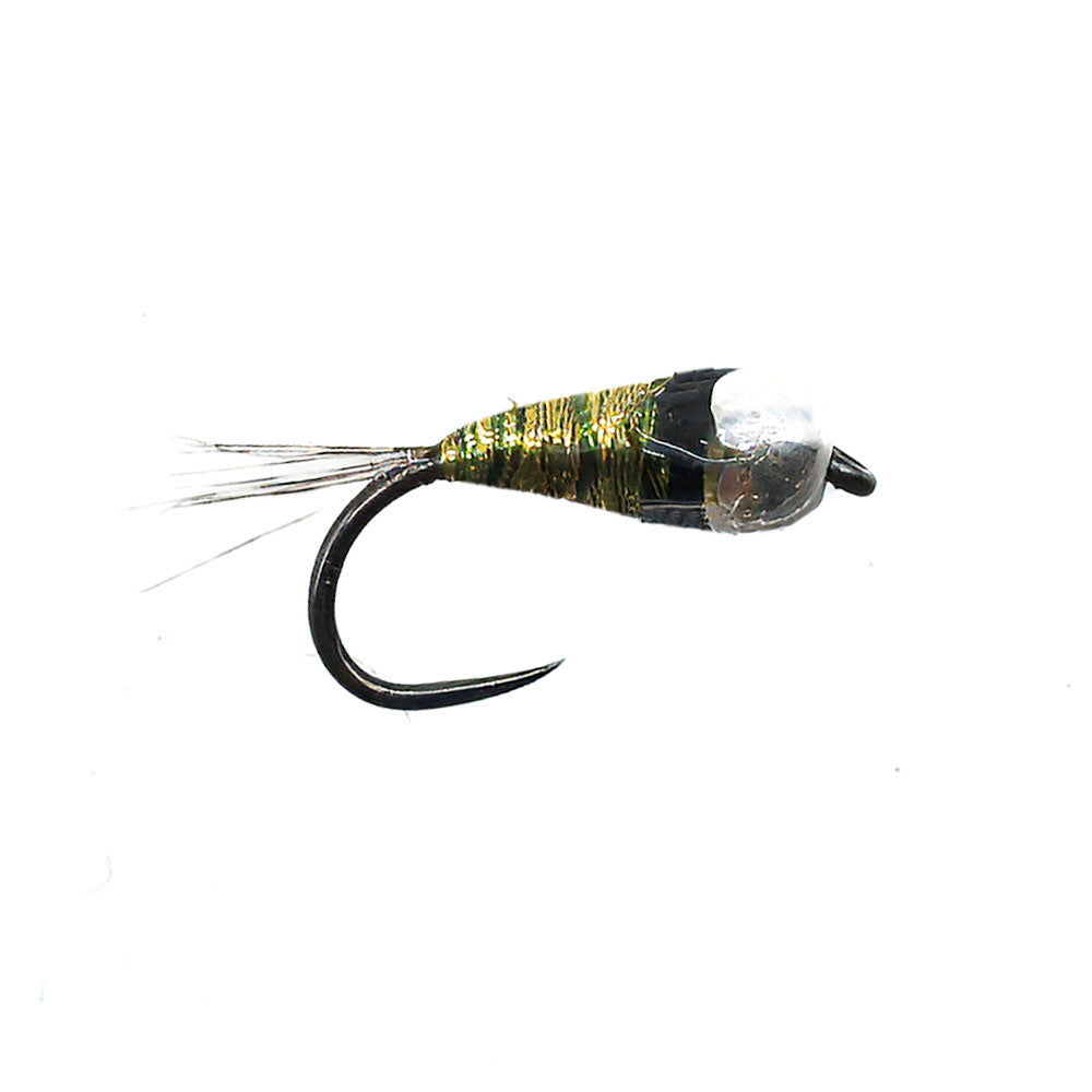 Mouche DEVAUX Nymphe TUNG. PERDI 304