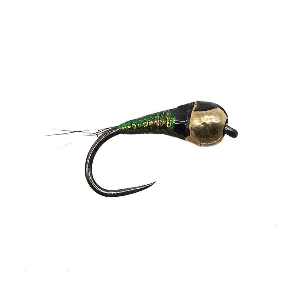 Mouche DEVAUX Nymphe TUNG. PERDI 309