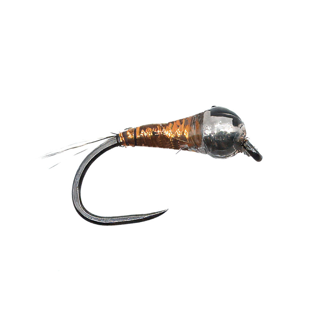 Mouche DEVAUX Nymphe TUNG. PERDI 319