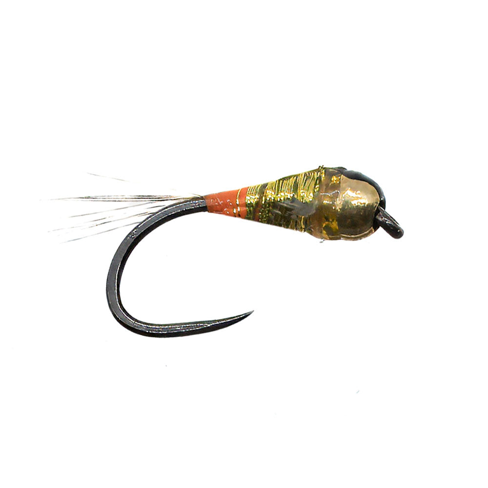 Mouche DEVAUX Nymphe TUNG. PERDI 321