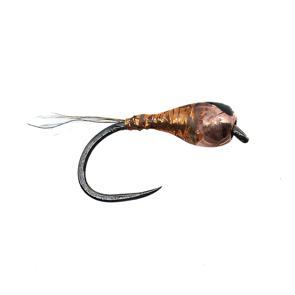 Mouche DEVAUX Nymphe TUNG. PERDI 322