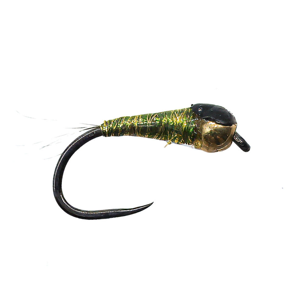 Mouche DEVAUX Nymphe TUNG. PERDI 323