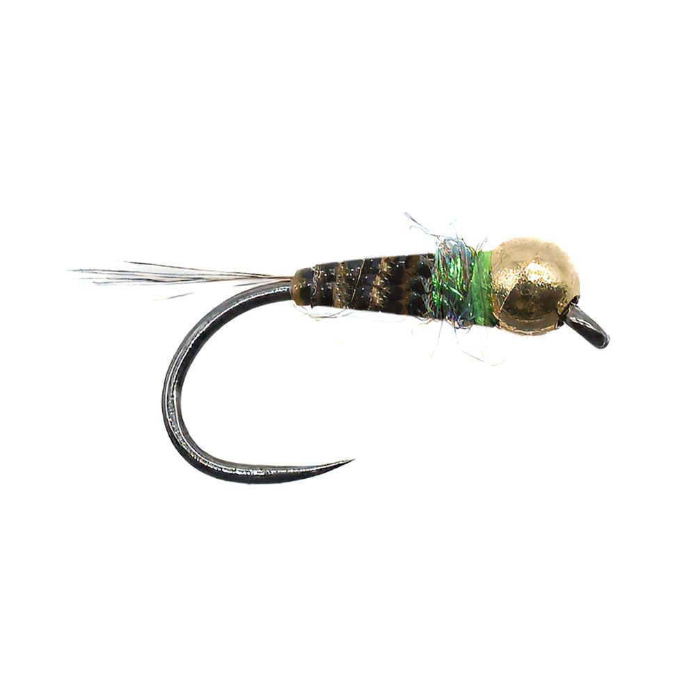 Mouche DEVAUX Nymphe TUNG. PERDI 324