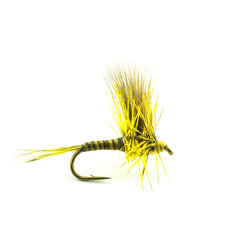 DEVAUX Spent PK02 Fly