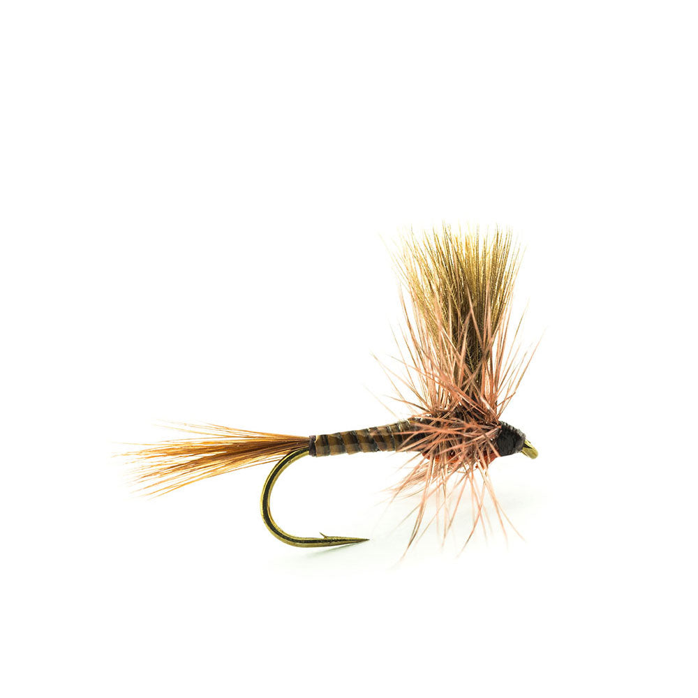 DEVAUX Spent PK03 Fly