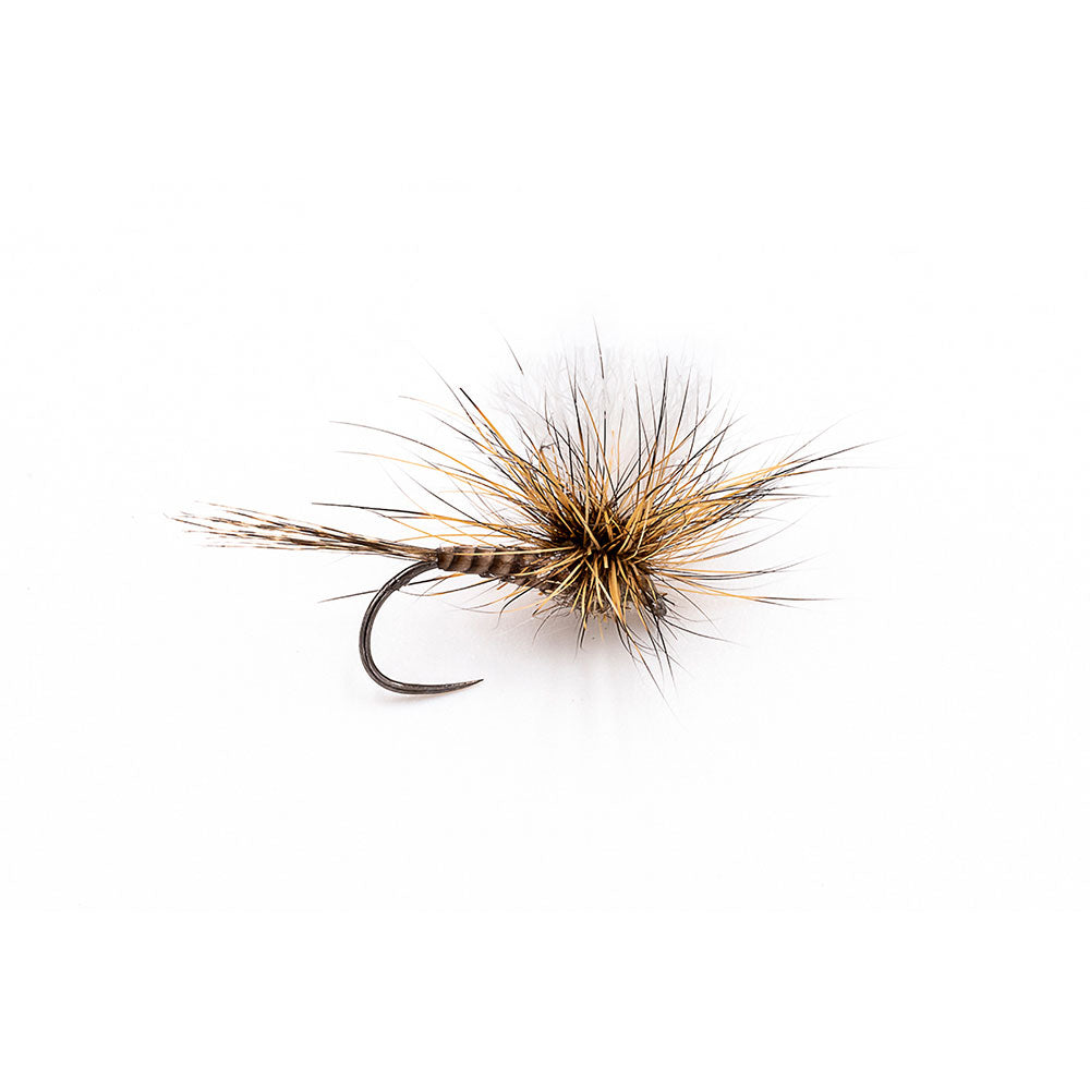 DEVAUX Fly Parachute PL 01