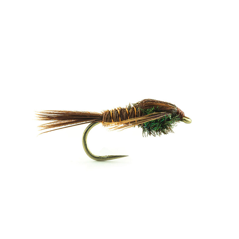 DEVAUX Nymphe LPP 03 Fliege
