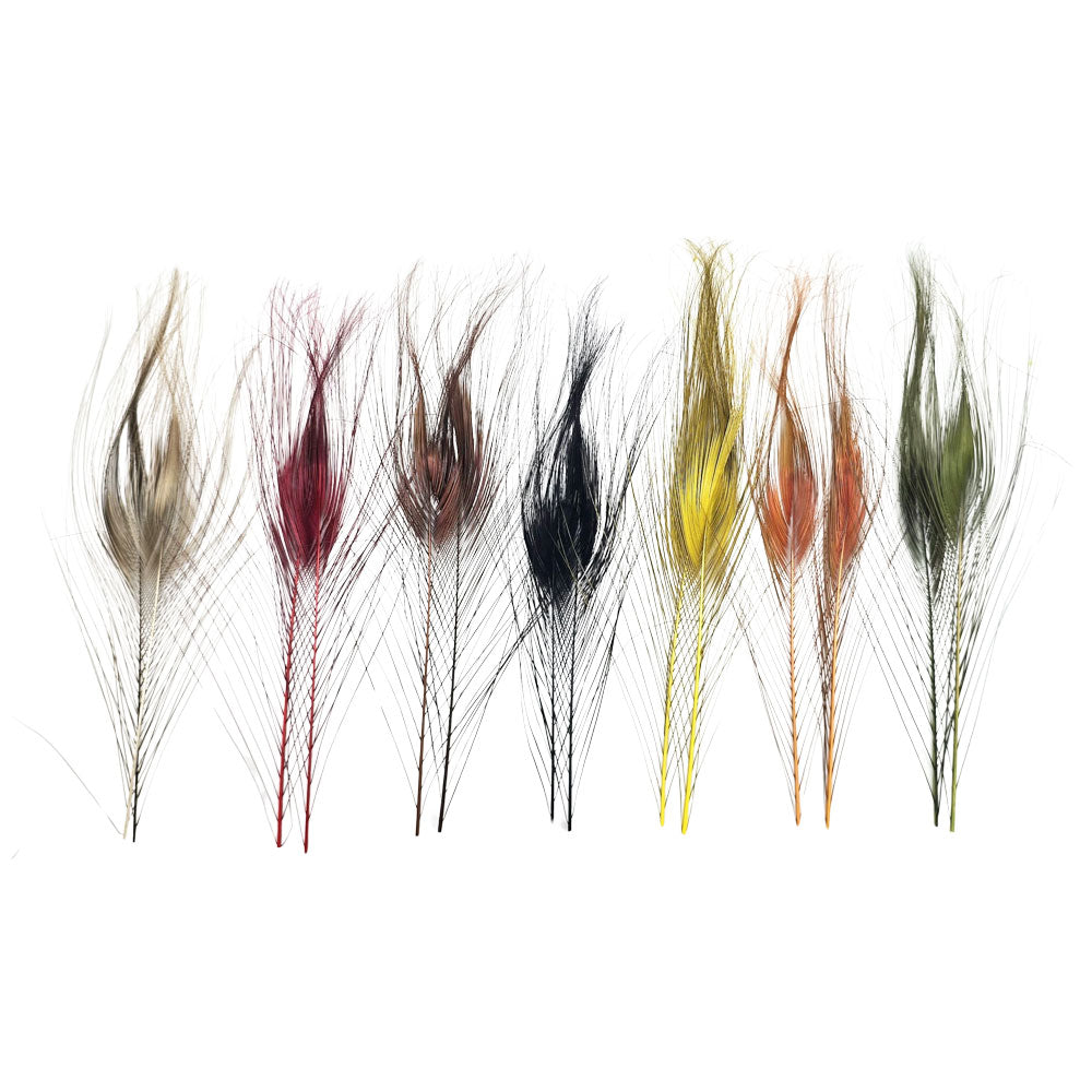 Quill de paon ébarbés DEVAUX