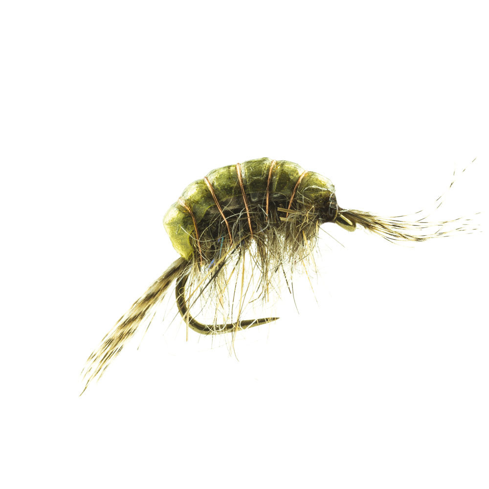 DEVAUX Fly Wolfram Gammarus GAMT 03