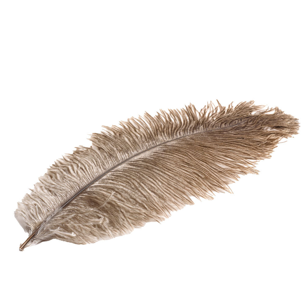 Plume Autruche Naturel DEVAUX