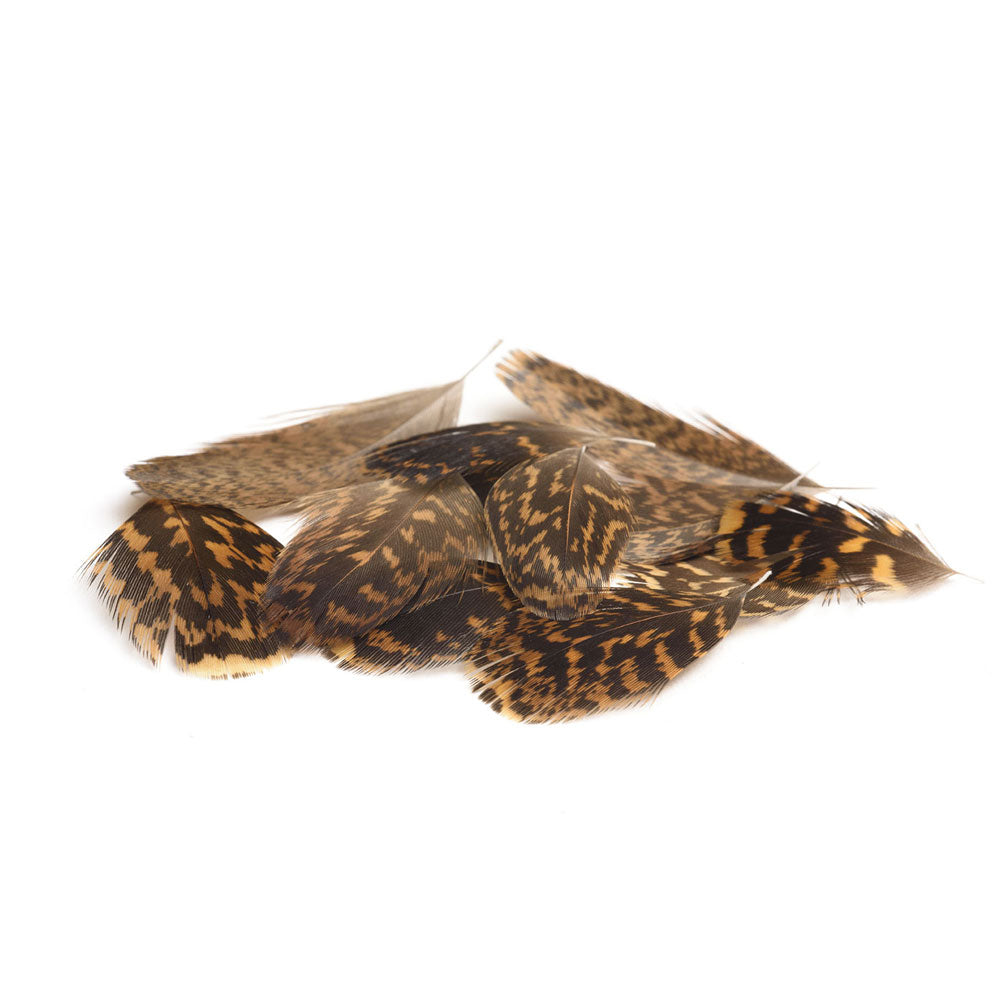 Plumes Grouse DEVAUX