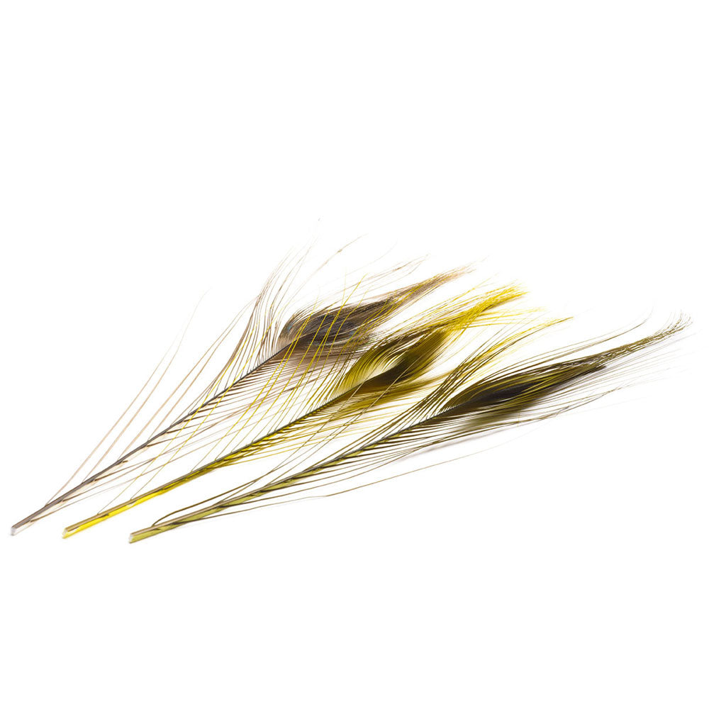 Quill De Paon Ebarbe DEVAUX