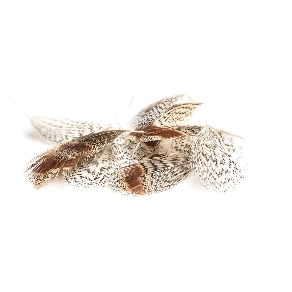 Plumes Perdrix Grise DEVAUX